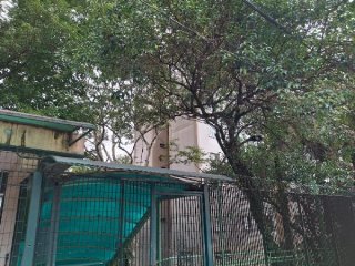 Imagem do imóvel AP55289