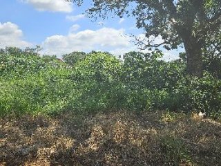 Imagem do imóvel TE26967