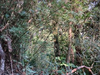 Imagem do imóvel TE11056