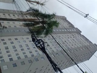 Imagem do imóvel AP10693