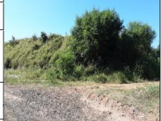 Imagem do imóvel TE48477