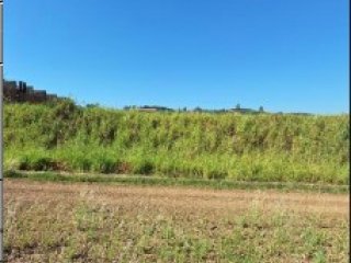 Imagem do imóvel TE01964