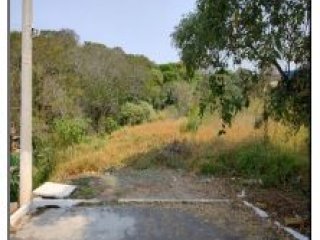 Imagem do imóvel TE93347