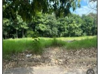 Imagem do imóvel TE43936