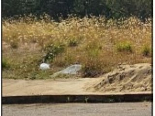 Imagem do imóvel TE71581