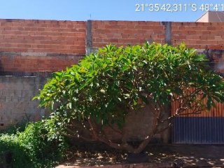 Imagem do imóvel CA88044