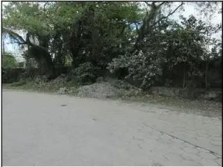 Imagem do imóvel TE12935